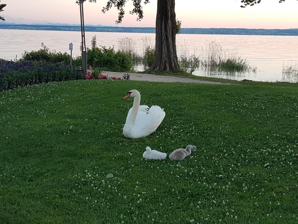 Malvelyns Am Bodensee Імменштад-ам-Бодензе Екстер'єр фото